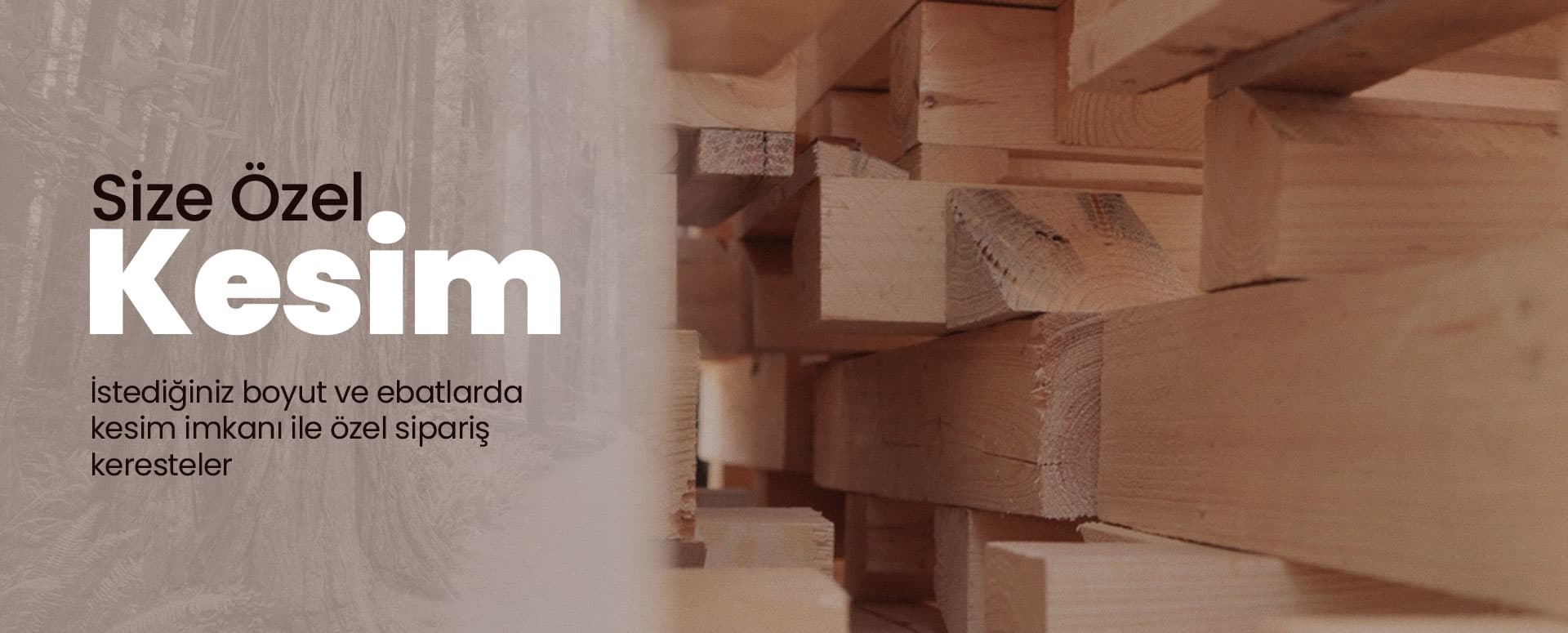 2026 Hatay Kereste Fiyatları ve İnşaat Sektörü - Hatay kereste ve mobilya rehberi